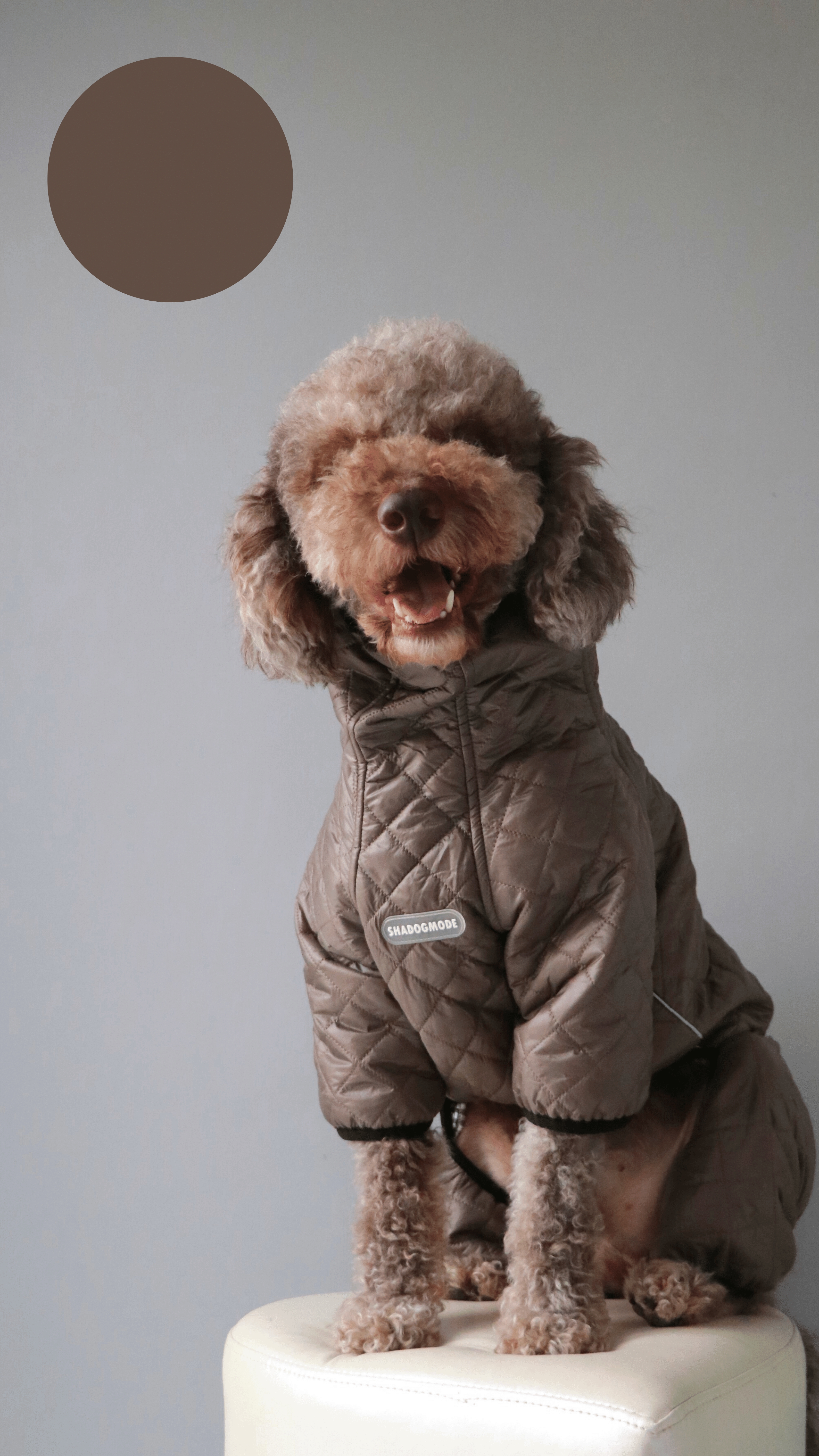 BROWN MONT
